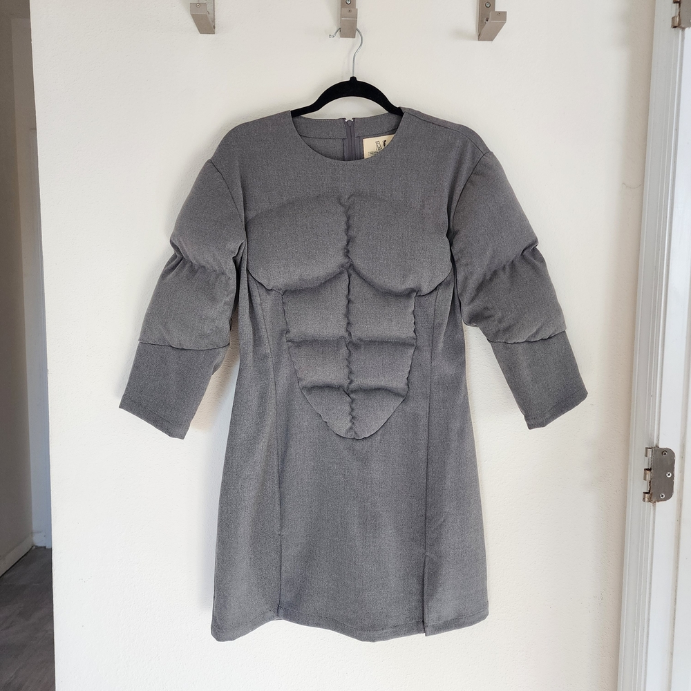Fashion Brand Company Gray Muscle Sleeve Dress